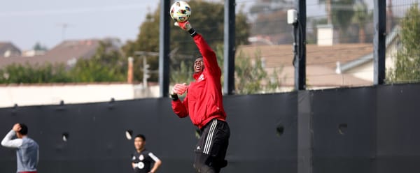 TFC notebook: Richie Laryea, Sean Johnson out for several weeks